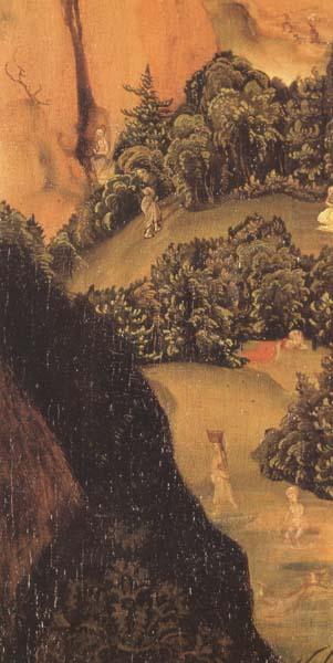 Details of Dr.Johannes Cupinian (mk45), Lucas Cranach the Elder